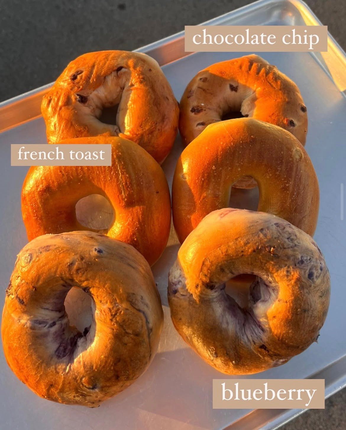 Bagel selection at Graham's Coffee Co